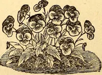 Picture 21 of 78 from Manners, culture and dress of the best American society, including social, commercial and legal forms, letter writing, invitations, &c., also valuable suggestions on self culture and home training (1893), leaf 131