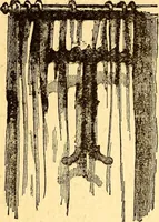 An illustration from Manners, culture and dress of the best American society, including social, commercial and legal forms, letter writing, invitations, &c., also valuable suggestions on self culture and home training (1893)