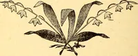 An illustration from Manners, culture and dress of the best American society, including social, commercial and legal forms, letter writing, invitations, &c., also valuable suggestions on self culture and home training (1893)
