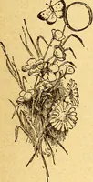 An illustration from Manners, culture and dress of the best American society, including social, commercial and legal forms, letter writing, invitations, &c., also valuable suggestions on self culture and home training (1893)