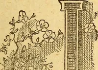An illustration from Manners, culture and dress of the best American society, including social, commercial and legal forms, letter writing, invitations, &c., also valuable suggestions on self culture and home training (1893)