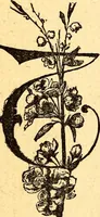 An illustration from Manners, culture and dress of the best American society, including social, commercial and legal forms, letter writing, invitations, &c., also valuable suggestions on self culture and home training (1893)