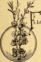 An illustration from Manners, culture and dress of the best American society, including social, commercial and legal forms, letter writing, invitations, &c., also valuable suggestions on self culture and home training (1893)