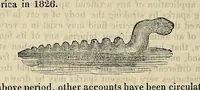Picture 6 of 9 from The manners and customs of all nations; also, remarkable biographies, notable histories, eccentric sects, singular inventions, natural curiosities, mystical sciences, extraordinary buildings, wonderful animals,- &c., being a compendium of universal information .. (1827), leaf 772