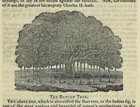 Picture 8 of 9 from The manners and customs of all nations; also, remarkable biographies, notable histories, eccentric sects, singular inventions, natural curiosities, mystical sciences, extraordinary buildings, wonderful animals,- &c., being a compendium of universal information .. (1827), leaf 813
