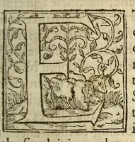 An illustration from The manners, lawes, and customes of all nations. (1611)