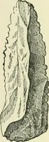 An illustration from Manners and monuments of prehistoric peoples (1892)