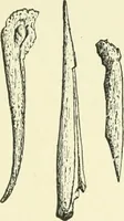 An illustration from Manners and monuments of prehistoric peoples (1892)
