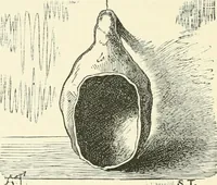 An illustration from Manners and monuments of prehistoric peoples (1892)
