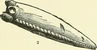 An illustration from Manners and monuments of prehistoric peoples (1892)