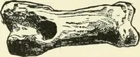 An illustration from Manners and monuments of prehistoric peoples (1892)