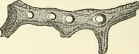 An illustration from Manners and monuments of prehistoric peoples (1892)