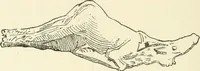 An illustration from Manners and monuments of prehistoric peoples (1892)
