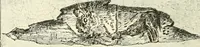 An illustration from Manners and monuments of prehistoric peoples (1892)