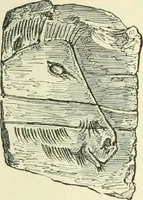 An illustration from Manners and monuments of prehistoric peoples (1892)