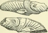 An illustration from Manners and monuments of prehistoric peoples (1892)