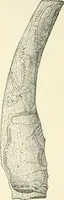 An illustration from Manners and monuments of prehistoric peoples (1892)
