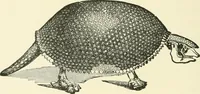 An illustration from Manners and monuments of prehistoric peoples (1892)