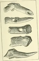 An illustration from Manners and monuments of prehistoric peoples (1892)