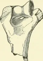 An illustration from Manners and monuments of prehistoric peoples (1892)