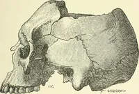 An illustration from Manners and monuments of prehistoric peoples (1892)