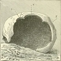 An illustration from Manners and monuments of prehistoric peoples (1892)