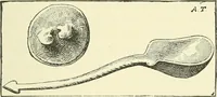 An illustration from Manners and monuments of prehistoric peoples (1892)