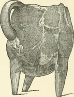 An illustration from Manners and monuments of prehistoric peoples (1892)