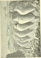 An illustration from Manners and monuments of prehistoric peoples (1892)