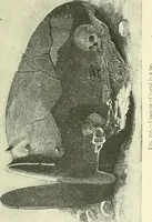 An illustration from Manners and monuments of prehistoric peoples (1892)