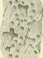 An illustration from Manners and monuments of prehistoric peoples (1892)