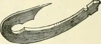 An illustration from Manners and monuments of prehistoric peoples (1892)