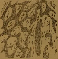 An illustration from Manual de anatomía patológica general : seguida de un resumen de microscopia aplicada a la histología y bacteriología patológicas (1896)