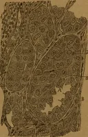 An illustration from Manual de anatomía patológica general : seguida de un resumen de microscopia aplicada a la histología y bacteriología patológicas (1896)