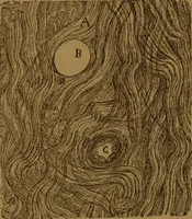 Picture 49 of 63 from Manual de anatomía patológica general : seguida de un resumen de microscopia aplicada a la histología y bacteriología patológicas (1896), leaf 311