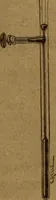 An illustration from Manual de anatomía patológica general : seguida de un resumen de microscopia aplicada a la histología y bacteriología patológicas (1896)