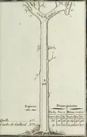 Picture 1 of 30 from Manuale ad uso degli agenti dei boschi e della marina ... (1807), leaf 280