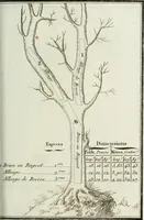 Picture 2 of 30 from Manuale ad uso degli agenti dei boschi e della marina ... (1807), leaf 282