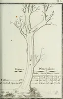 Picture 3 of 30 from Manuale ad uso degli agenti dei boschi e della marina ... (1807), leaf 284