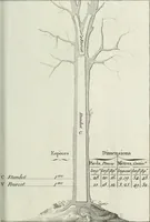 Picture 5 of 30 from Manuale ad uso degli agenti dei boschi e della marina ... (1807), leaf 288
