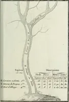 Picture 6 of 30 from Manuale ad uso degli agenti dei boschi e della marina ... (1807), leaf 290