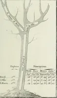 An illustration from Manuale ad uso degli agenti dei boschi e della marina ... (1807)