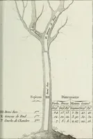 An illustration from Manuale ad uso degli agenti dei boschi e della marina ... (1807)