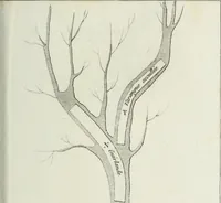 An illustration from Manuale ad uso degli agenti dei boschi e della marina ... (1807)