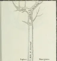 An illustration from Manuale ad uso degli agenti dei boschi e della marina ... (1807)