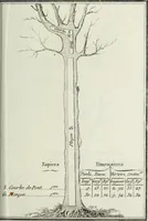 Picture 19 of 30 from Manuale ad uso degli agenti dei boschi e della marina ... (1807), leaf 314