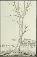 Picture 20 of 30 from Manuale ad uso degli agenti dei boschi e della marina ... (1807), leaf 316