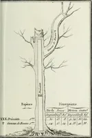 Picture 21 of 30 from Manuale ad uso degli agenti dei boschi e della marina ... (1807), leaf 318