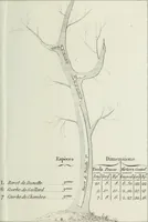 Picture 24 of 30 from Manuale ad uso degli agenti dei boschi e della marina ... (1807), leaf 324