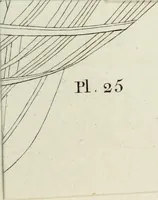 Picture 25 of 30 from Manuale ad uso degli agenti dei boschi e della marina ... (1807), leaf 326